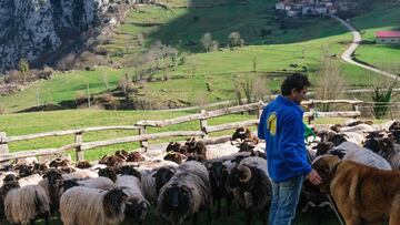 15/10/2020 La Comisión Europea otorga el Premio Natura 2000 en la categoría Beneficios Socioeconómicos a la marca 'Pro-Biodiversidad' que impulsa la Fundación para la Conservación del Quebrantahuesos.
ESPAÑA EUROPA ESPAÑA EUROPA EUROPA EUROPA ASTURIAS CANTABRIA ESPAÑA UNIÓN EUROPEA SOCIEDAD
FUNDACIÓN PARA LA CONSERVACIÓN DEL QUEBRANTAHUESOS