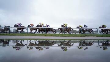 La lluvia deja curiosas im¨¢genes en Lingfield Park