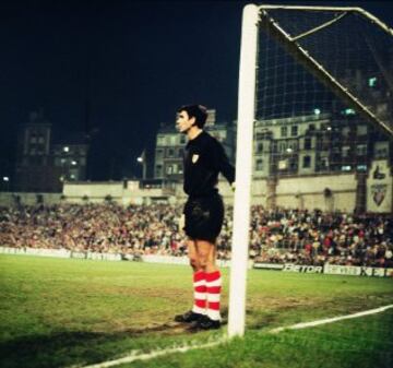 Iribar es uno de los porteros más importantes de la historia del Athletic Club y de la selección española de fútbol. Con el Athletic jugó un total de 614 partidos durante 18 temporadas. Fue el guardameta indiscutible de la selección española desde 1964 hasta 1976, donde formó parte del 11 titular que conquistó la Eurocopa de 1964.