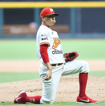 Diablos Rojos, Liga Mexicana de Béisbol