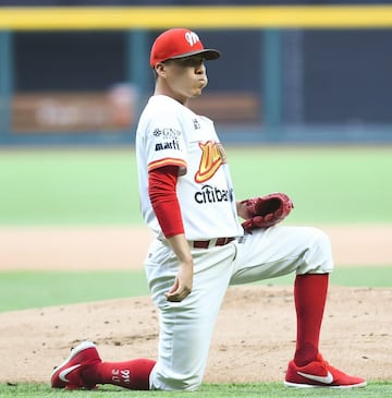 Diablos Rojos, Liga Mexicana de Béisbol 