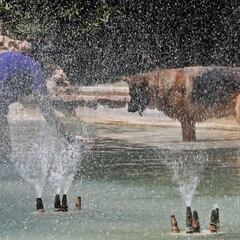 Montoro bate el récord histórico de temperaturas máximas en España: 47,2 grados