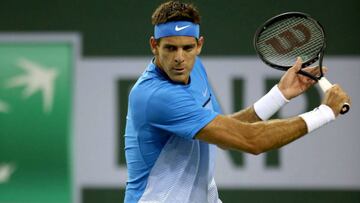 Del Potro debutó con un triunfo en Washington ante Lacko