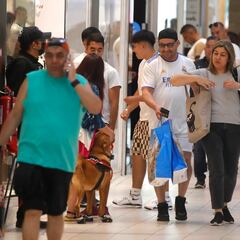 Bono Marzo 2024: cómo consultar con mi RUT si cobro el nuevo monto hoy, 30 de enero, y fechas de pago del Aporte Familiar Permanente