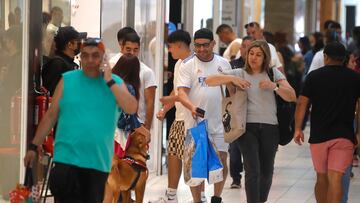 Bono Marzo 2024: cómo consultar con mi RUT si cobro el nuevo monto hoy, 30 de enero, y fechas de pago del Aporte Familiar Permanente