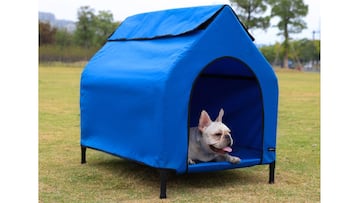 Caseta de color azul para perros y gatos de Amazon Basics.