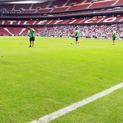 El Metropolitano estrenará nuevo césped para recibir al Barcelona