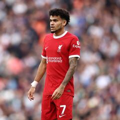 Who was the VAR who disallowed Luis Díaz’s Liverpool goal?