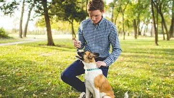 Reunimos 10 accesorios para perros que harán sus cuidados más sencillos y prácticos