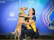 ¡Colombo! El perrito que conquistó a la delegación colombiana