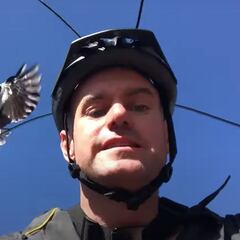 Ataques de urraca: un ciclista descubre cómo evitarlos