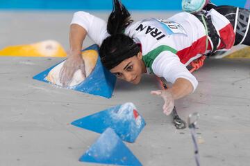 La escaladora iraní compitió el pasado 16 de octubre en Seúl, Corea del Sur, en escalada deportiva sin velo. Según las declaraciones de la deportista fue un hecho "involuntario" pero se teme que a su regreso al país sea encarcelada. 
