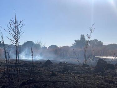 Arden los terrenos donde se construirá la nueva ciudad deportiva del Real Valladolid