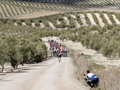 Clásica de Jaén 2026, en directo: Úbeda - Úbeda y última hora de Pidcock, Iván Romeo... en vivo online