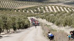 Resumen de la Clásica de Jaén 2026