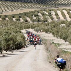 Ciclismo en tierra de olivos