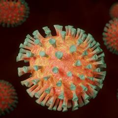 Un chicle para ‘engañar’ al coronavirus