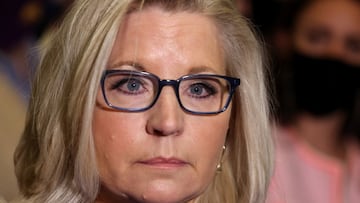 Trying to combat Donald Trump’s ‘big lie’, Liz Cheney was removed from her House leadership roles for speaking out against the former President.