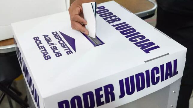 Elecciones del Poder Judicial tuvieron un 12% de participación ciudadana, confirma en INE