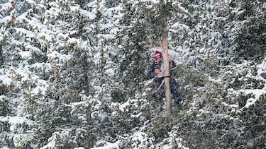 En el deporte de élite la metodología de los entrenamientos es cada vez más compleja y sofisticada. Pero el entrenador de la imagen ha ido un paso más allá. Decidió encaramarse a un árbol, poniendo en riesgo su integridad física, para observar desde las alturas el descenso de su pupilo en un ensayo en la Copa del Mundo de esquí alpino en Crans Montana (Suiza).

