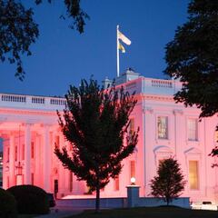 When is breast cancer day?