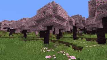 Minecraft Update 1.20, learn about the new features coming soon