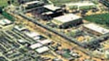 Amgen, la EPO y las células de ovario de hámster chino