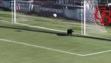 Un perro de arquero: la insólita jugada en el fútbol argentino