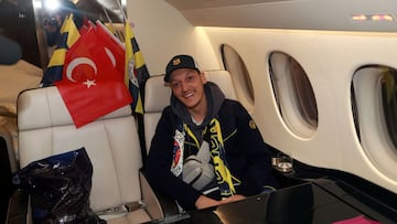 Mesut &Ouml;zil. 