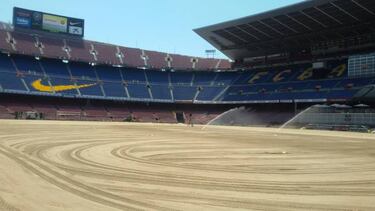 Royal Verd instalará nuevo césped en estadio del Barca