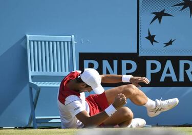 Cilic reina en Queen's ante un Djokovic que sigue en sequ¨ªa