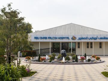 Hospital Abu Dhabi Falcon es un clínica situada en la capital de los Emiratos Árabe Unidos donde realizan tratamientos médicos e incluso estéticos como cepillado, masajes y corte de uñas al símbolo nacional del país, los halcones.