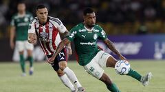 Junior - Palmeiras en vivo online: Copa Libertadores, en directo