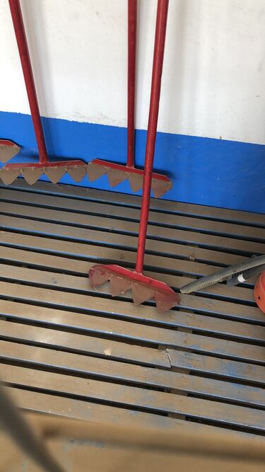 La historia tras los incidentes nunca antes vistos en San Carlos