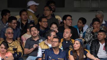 Liga MX y LMB registran pérdidas millonarias sin venta de cerveza