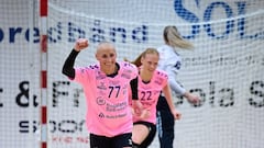 Un speaker despedido por bromear sobre una jugadora con cáncer: “No necesita secador”