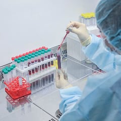 China clona con éxito al primer Yak, logrando revolucionar la biotecnología animal para mejorar la genética