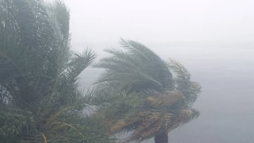 Tormenta Tropical Madeline: Qué estados seguirán afectados, clima hoy y trayectoria