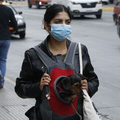 Bono para mujeres: de cuánto serán los montos y cuáles son los requisitos