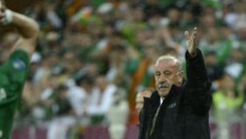 Del Bosque, durante el partido ante Irlanda.