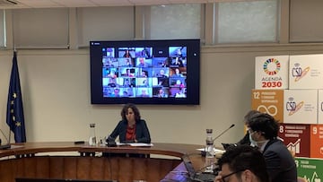 El Consejo Superior de Deportes cesa a Javier Tebas como vocal de la Comisión Directiva