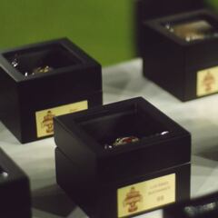 Así fue la entrega de anillos a Tomateros, Bicampeones de la LAMP