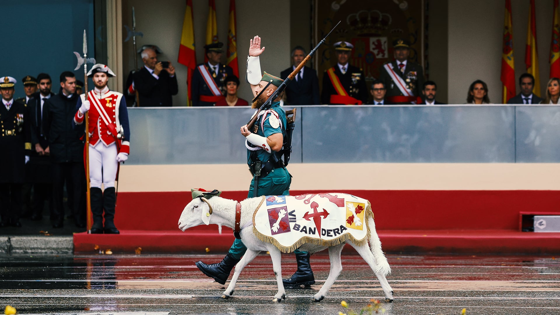 Las mejores imágenes del Desfile de las Fuerzas Armadas