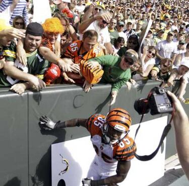 El sueño de Raquel Welch