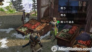 Monster Hunter Portable 2nd G, Impresiones