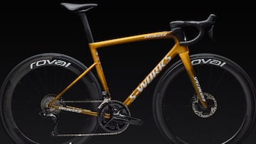 La bici especial de Evenepoel: 272 unidades, 15.000 euros...