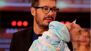 La emotiva historia de Bricia, la perrita adoptada por Marcelo Tinelli y Guillermina Valdés