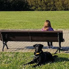 El aviso de la Policía a los dueños de los perros