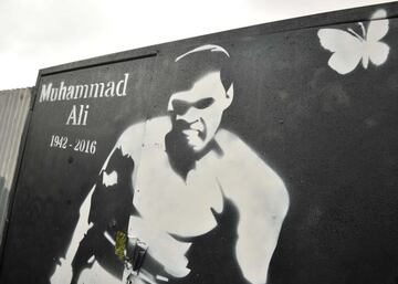 También se sospecha que el rey del Street Art por antonomasia, Banksy, sucumbió a la figura de Cassius Clay. Su autoría podría estar detrás de una obra aparecida en Manchester, en la que se aprecia uno de los más famosos movimientos del púgil y una mariposa sobre su hombro. Ésta evoca a otra de sus citas para la posteridad: “Flota como una mariposa, pica como una abeja”. Mr. Brainwash, amigo y seguidor del enigmático Banksy, le dedicó un mural en Los Ángeles. Su rostro era el protagonista, aunque en otros trabajos del artista emula escenas de sus míticos combates.