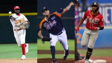 Así quedaron los playoffs de la Liga Mexicana de Béisbol